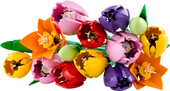 LEGO Botanicals Tulip Bouquet (11501-1) LEGO
