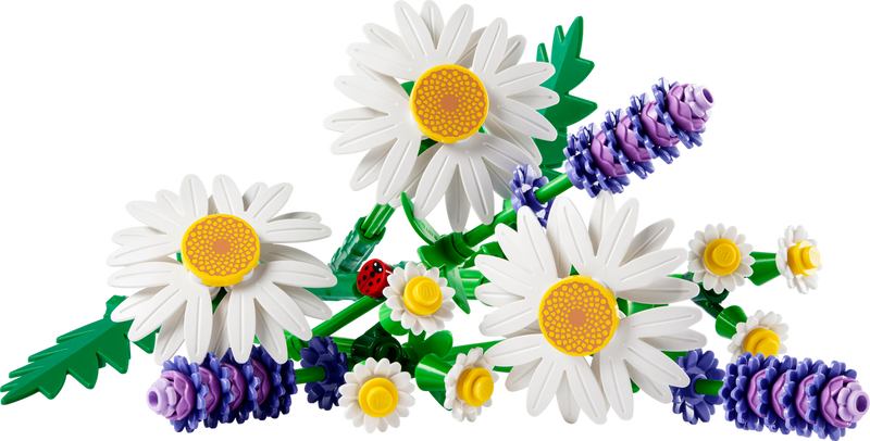 LEGO Botanicals Daisies (11508-1) LEGO