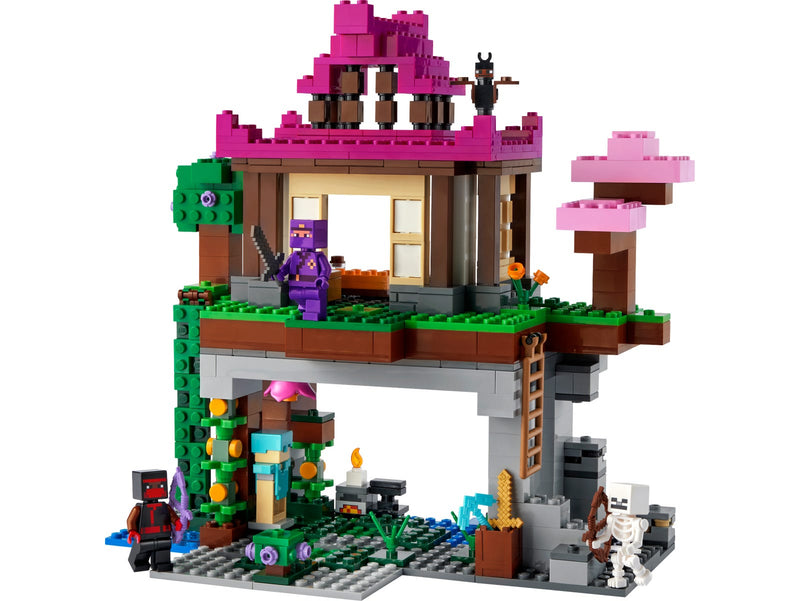 LEGO Minecraft The Training Grounds (21183-1)