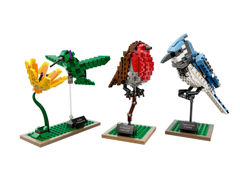 LEGO LEGO Ideas (CUUSOO) Birds (21301-1)