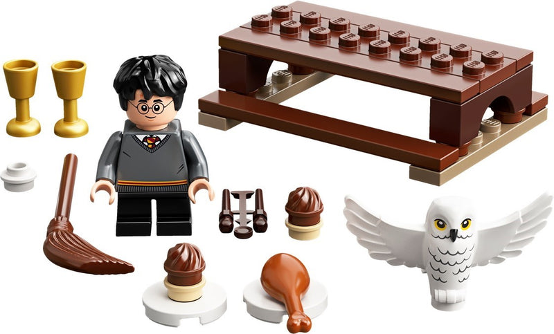 LEGO Harry Potter Harry Potter and Hedwig: Owl Delivery polybag (30420-1)