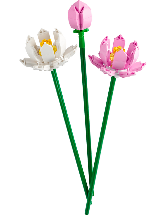 LEGO Botanicals Lotus Flowers (40647-1)