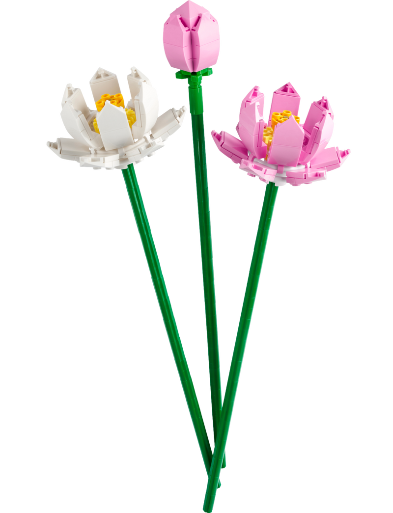 LEGO Botanicals Lotus Flowers (40647-1)