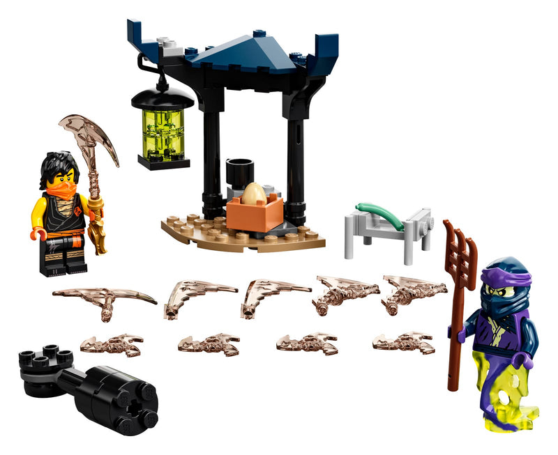 LEGO NINJAGO Epic Battle Set - Cole vs Ghost Warrior (71733-1)