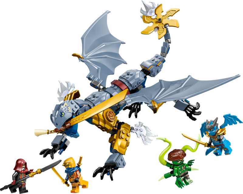 LEGO NINJAGO Ninja Dragon Riyu's Battle (71855-1)