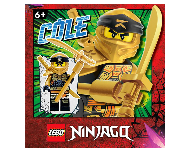LEGO NINJAGO Cole  paper bag #1 (892295-1)