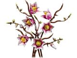 LEGO Botanicals Magnolia Branches (11510-1) LEGO
